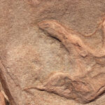 Zion National Park: UTV Outback Tour - A Closer Look: The Itinerary