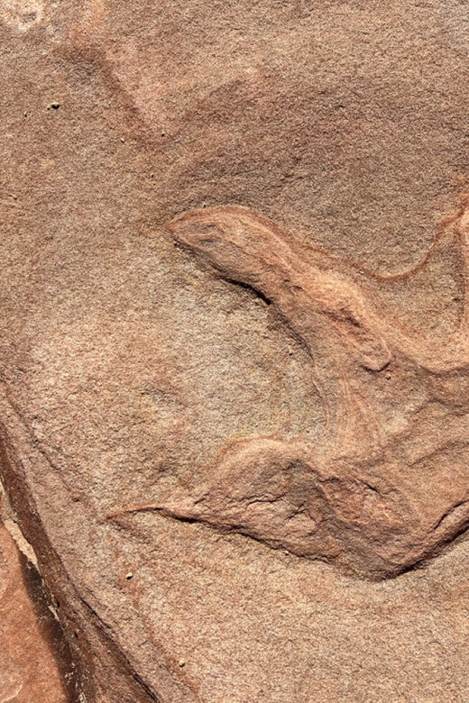 Zion National Park: UTV Outback Tour - A Closer Look: The Itinerary