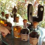 Zip Line Canopy Jungle Adventure from Puerto Vallarta - Detailed Breakdown of the Itinerary