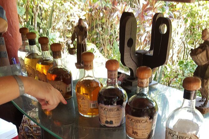 Zip Line Canopy Jungle Adventure from Puerto Vallarta - Detailed Breakdown of the Itinerary