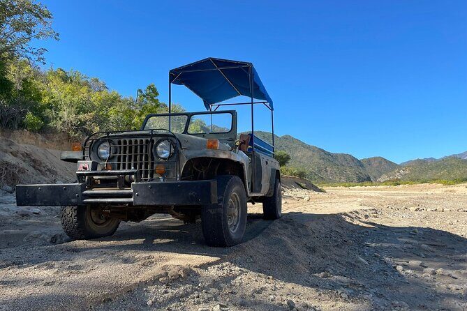 Zipline Adventure from Caduaño - Who Would Love This Tour?
