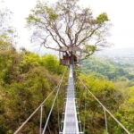 Zipline and ATV Skyline Adventure Phuket Include Pickup Transfer - Authentic Experiences and Real Reviews