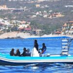 Zodiac Whale Watching Adventure - Incl FREE photos - The Value of This Tour