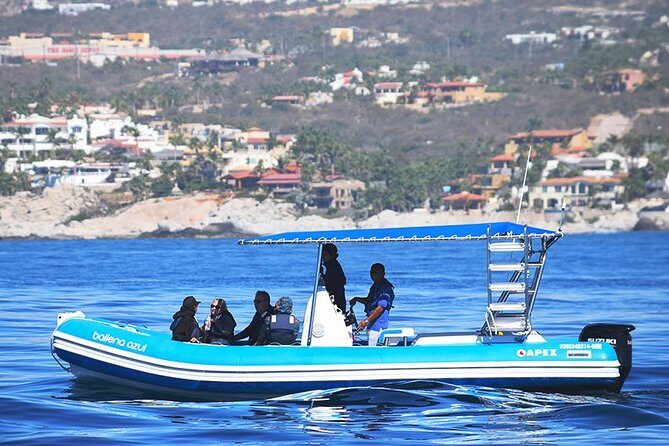 Zodiac Whale Watching Adventure - Incl FREE photos - The Value of This Tour