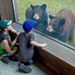 Zoo Miami Ticket with Optional Upgrade - What to Expect on Your Visit