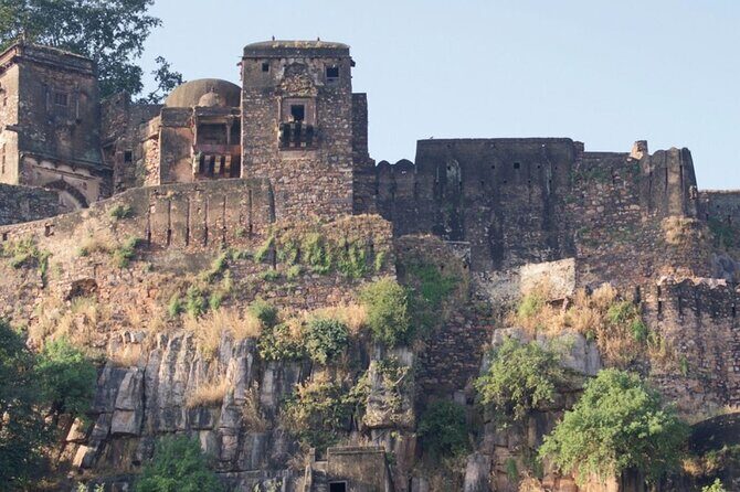 03 Days Private Ranthambore Wildlife Safari Tour From Delhi - FAQ