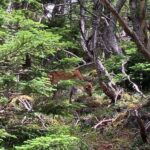 1-Day Adventure Hike to Hoei Cater on Mt. Fuji - Frequently Asked Questions