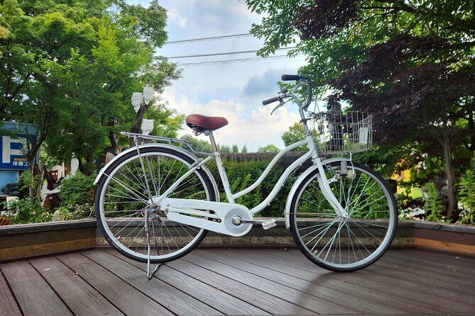 1 Day Bicycle Rental near Lake Kawaguchi - Exploring the Nearby Spots