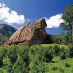 1 Day Coach Tour of Terelj National Park Including Lunch And Free Camel Ride - A Deep Dive into the Day’s Journey