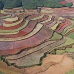 1-Day Dongchuan Red Land Photography Private Tour from Kunming - Authentic Experiences and Real Traveler Insights