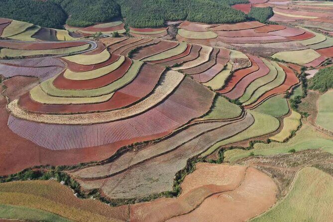 1-Day Dongchuan Red Land Photography Private Tour from Kunming - Authentic Experiences and Real Traveler Insights