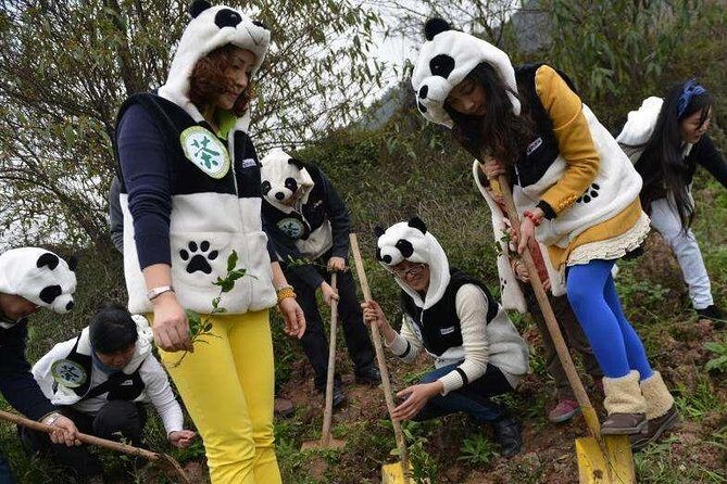 1-Day Dujiangyan Panda Base Volunteer Program Tour from Chengdu - Exploring the Details: What to Expect from This Panda Adventure