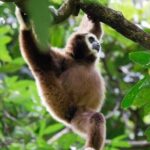 1 Day Ethical Jungle Trekking - Who Will Love This Tour?