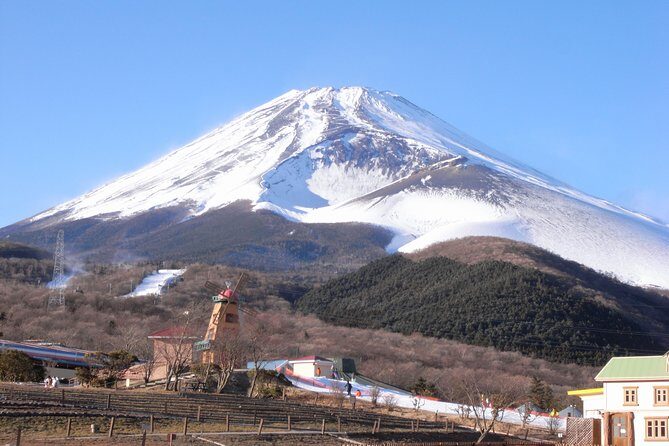 1 Day Family Fun at Fuji with Private Car - The Value of This Tour