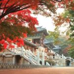 1-DAY Gyeongju UNESCO and Culture tour. - Exploring Gyeongju’s UNESCO Treasures: What to Expect