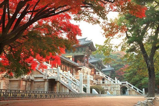 1-DAY Gyeongju UNESCO and Culture tour. - Exploring Gyeongju’s UNESCO Treasures: What to Expect