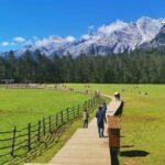 1-Day Jade Dragon Snow Mountain & Dongba Culture Experience - What Reviewers Say