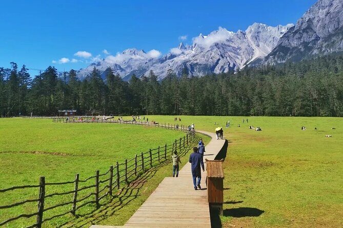 1-Day Jade Dragon Snow Mountain & Dongba Culture Experience - What Reviewers Say