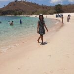 1- day Komodo Island Hopping Tour by Speed Boat departure From Labuan bajo - Who Should Consider This Tour?