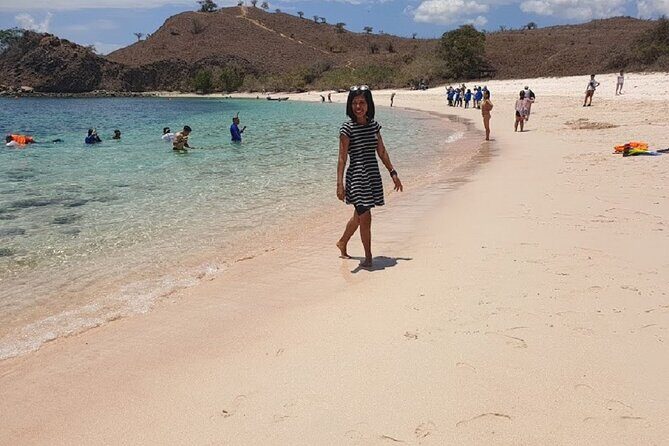 1- day Komodo Island Hopping Tour by Speed Boat departure From Labuan bajo - Who Should Consider This Tour?