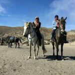 1 Day - Mount Bromo (5 spots) and Madakaripura waterfall // 23.00 - 18.00 - Who Should Consider This Tour?