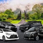 1-Day Private Bali Car Transfer With Experienced Driver - Who Will Love This Tour?