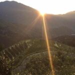 1-DAY Private Longji Rice Terraces and Minority Villages Tour - Who Should Consider This Tour?