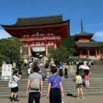 1 Day Private Sightseeing Tour in Kyoto - Practical Aspects & Value