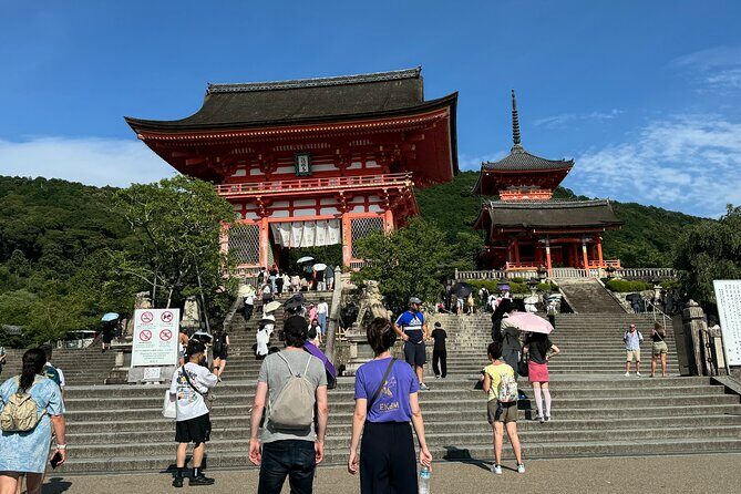 1 Day Private Sightseeing Tour in Kyoto - Practical Aspects & Value