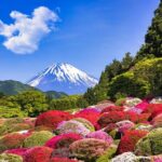 1 Day Private Tokyo to Hakone Gotemba Fuji Tour - More Detail: The Experience Breakdown