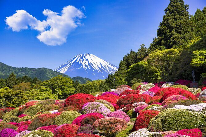 1 Day Private Tokyo to Hakone Gotemba Fuji Tour - More Detail: The Experience Breakdown