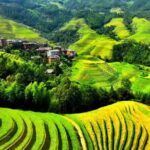 1 day private tour: Longji rice terraces & Huang Luo Yao villages - A Closer Look at the Tour Experience