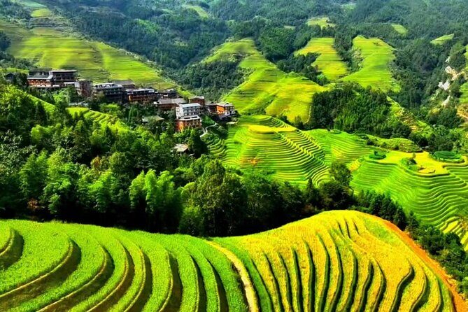 1 day private tour: Longji rice terraces & Huang Luo Yao villages - A Closer Look at the Tour Experience