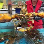 1-Day Sanya Customized Itinerary Charter Car Service - Authentic Experiences and Practical Tips