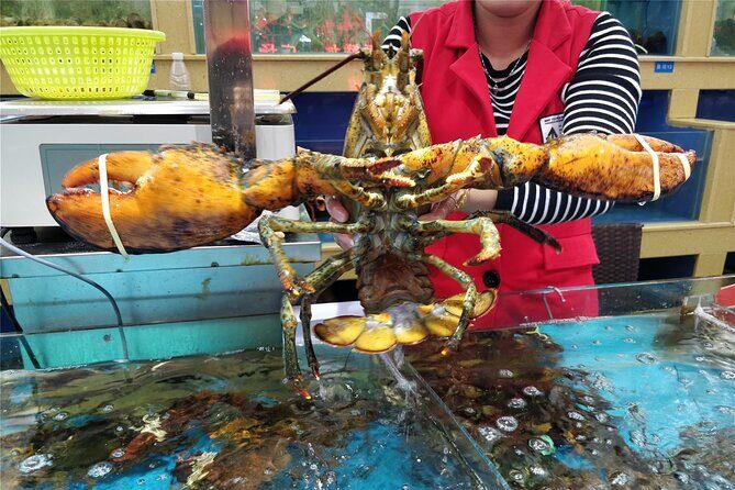 1-Day Sanya Customized Itinerary Charter Car Service - Authentic Experiences and Practical Tips