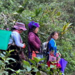 1 Day Sapa Trek&Home-cooked Lunch HmongSisterHouse&Trekking - What Makes This Tour Worth Your Time?