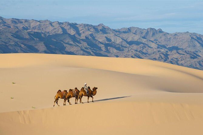 1 Day Semi-Gobi Tour Including Lunch And Free Camel +Bonus Khustai National Park - Authenticity and Practicalities