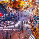 1-Day Tokyo Private Customizable Day Tour with a Guide - Practical Details: Making the Most of Your Day