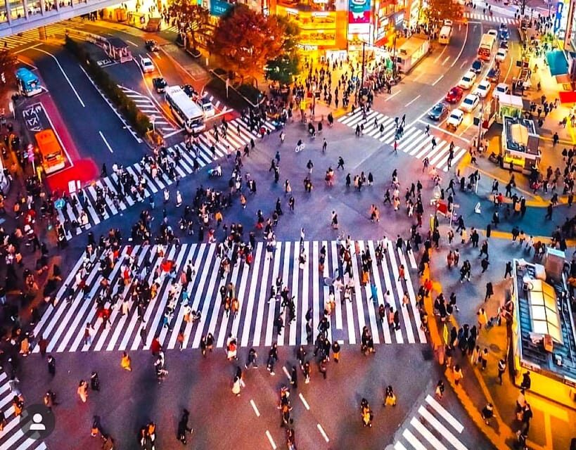 1-Day Tokyo Private Customizable Day Tour with a Guide - Practical Details: Making the Most of Your Day