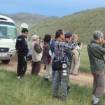 1 Day tour: Khustai National Park: Przewalski's wild horses - Journey into Mongolia’s Wild Heart: What to Expect from the Tour