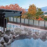 1 Day Tour to Oshino Hakkai Ole Hot Spring in Mount Fuji - What We Think About the Price and Value