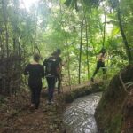 1 Day Trekking in Chiang Mai - A Thorough Look at the Experience