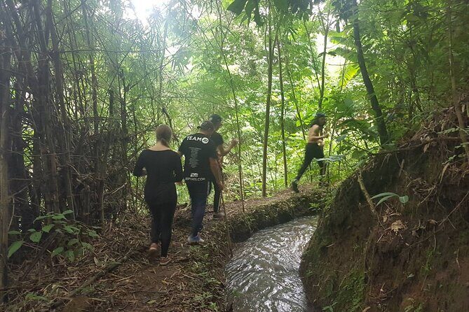 1 Day Trekking in Chiang Mai - A Thorough Look at the Experience