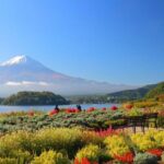 1 Day Trip to Mt. Fuji and in Five Lakes around the area - Who Should Consider This Tour?