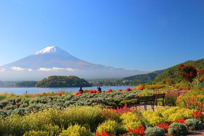 1 Day Trip to Mt. Fuji and in Five Lakes around the area - Who Should Consider This Tour?