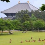 1 Day Walking Tour in Nara, Todaiji Temple, Deer and Inkstick - Exploring Nara: A Deep Dive into the 1-Day Walking Tour