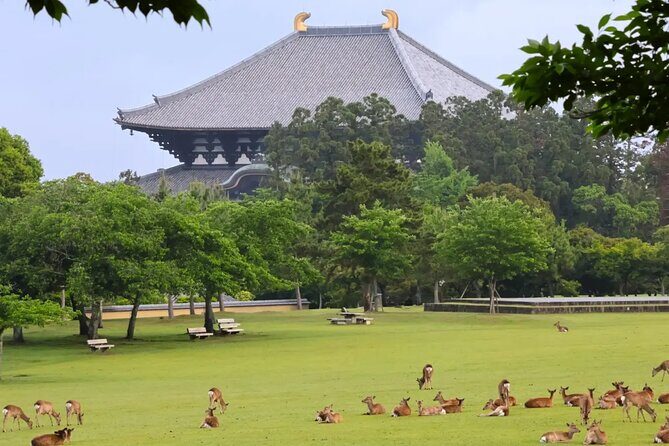 1 Day Walking Tour in Nara, Todaiji Temple, Deer and Inkstick - Exploring Nara: A Deep Dive into the 1-Day Walking Tour