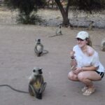 1 Night 2 Days Ranthambhore WildLife Tour From Jaipur - Exploring the Itinerary: What You Can Expect