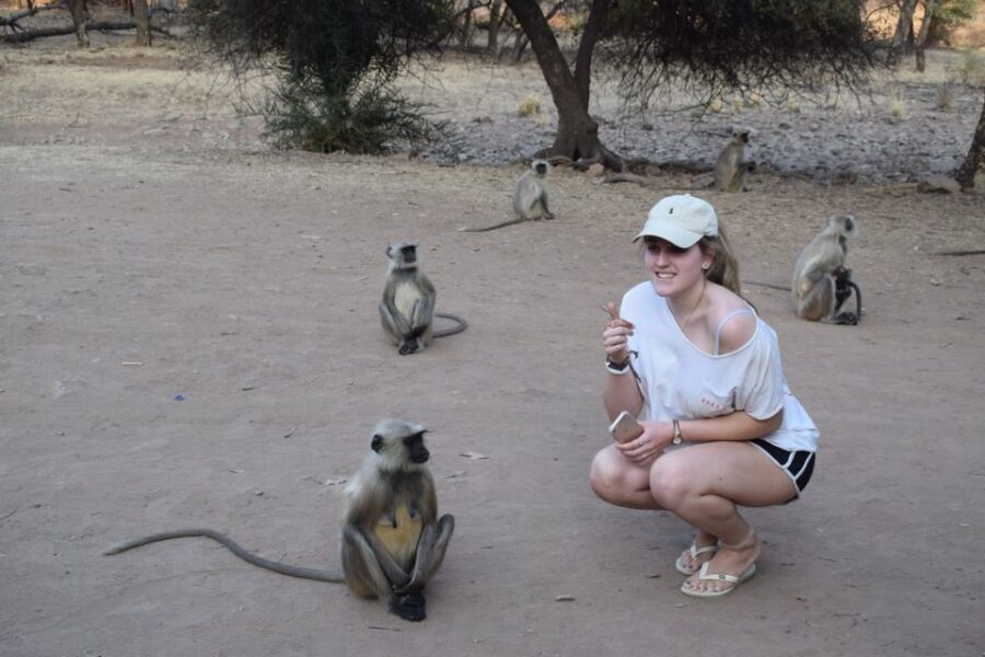 1 Night 2 Days Ranthambhore WildLife Tour From Jaipur - Exploring the Itinerary: What You Can Expect