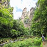 1 "Pandora" Day Trip-Zhangjiajie National Park(Avatar Mountain Scenery) - Exploring Zhangjiajie’s Avatar Mountain: A Deep Dive